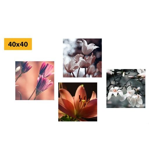 Képszett romantikus virágok