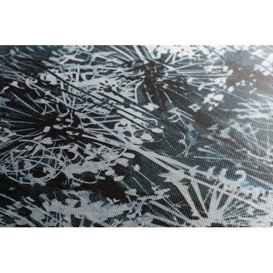 Kép titokzatos pitypangok