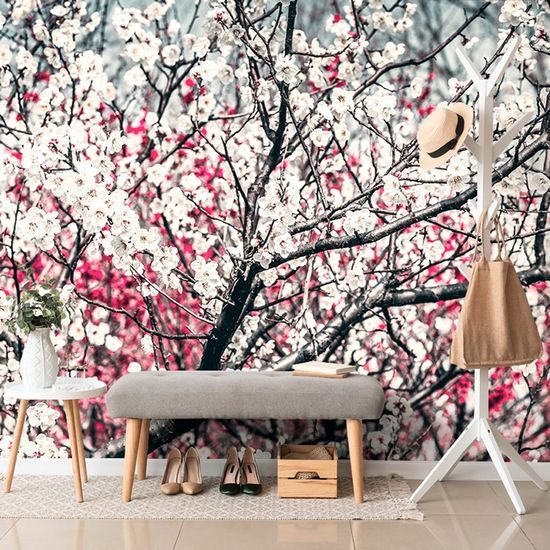 Virágokkal teli barackfa öntapadó fotótapéta