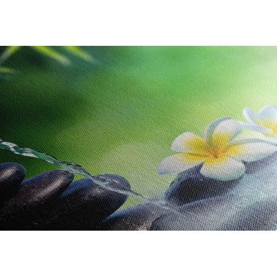 Kép Zen kövek az erdei patakban