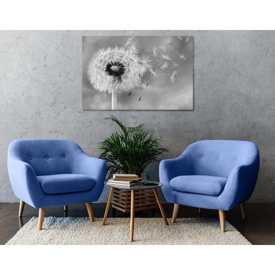 Kép pitypang és a szél érintése fekete-fehér kivitelben