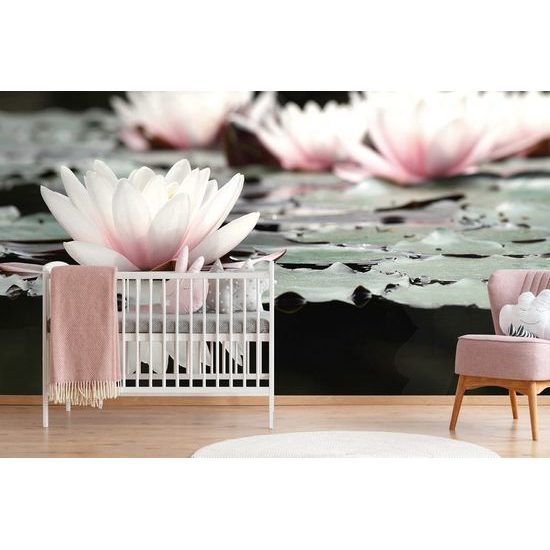 Öntapadó fotótapéta varázslatos lótuszvirág