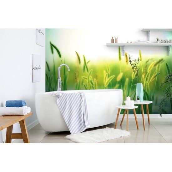 Fűszálas öntapadó tapéta egy csipetnyi zölddel