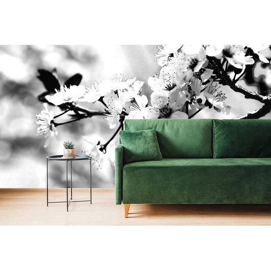 Öntapadó fotótapéta fekete-fehér cseresznyevirágok