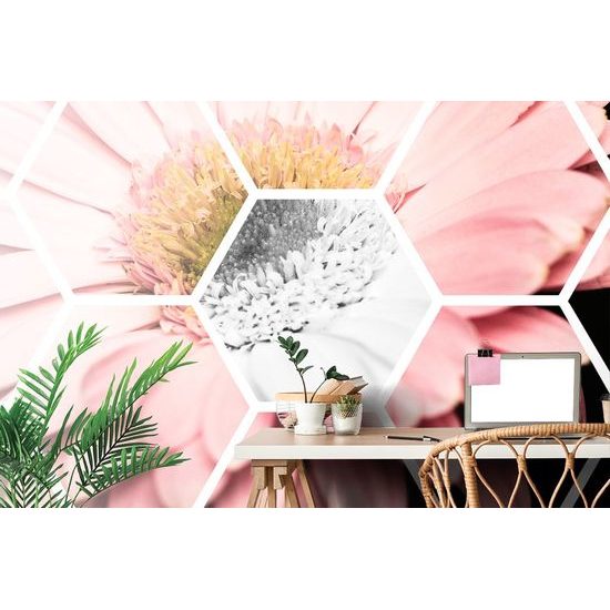 Öntapadó tapéta modern kijelző gerberák