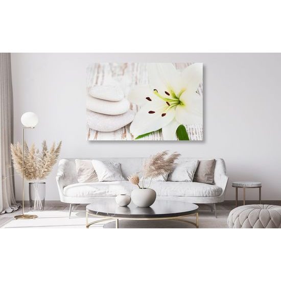 Kép Feng Shui csendélet