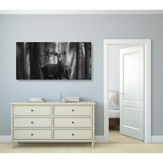 Kép gyönyörű szarvas fekete-fehér kivitelben