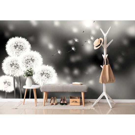 Öntapadó tapéta fekete-fehér bolyhos pitypang sapka