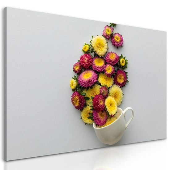 Kép sokszínű bájos virág