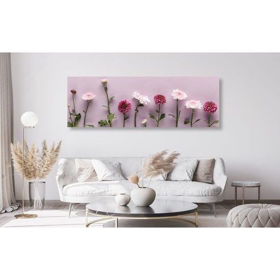 Kép romantikus virágok fáradtrózsaszín háttéren