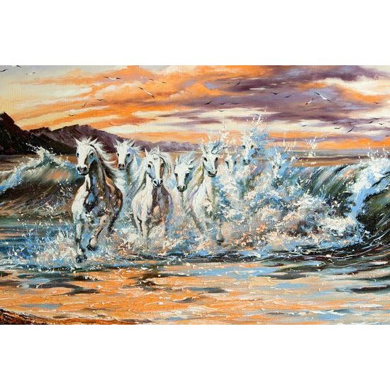 Kép vízben gázoló lovak