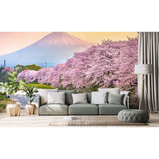 Öntapadó fotótapéta sakura a japán Fuji alatt