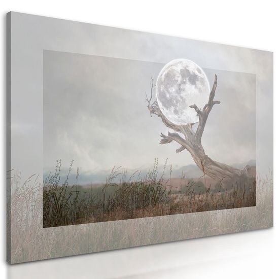 Kép Hold művészi ábrázolása