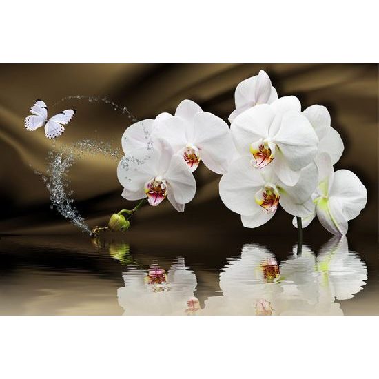Pillangó és orchidea harmóniája tapétán