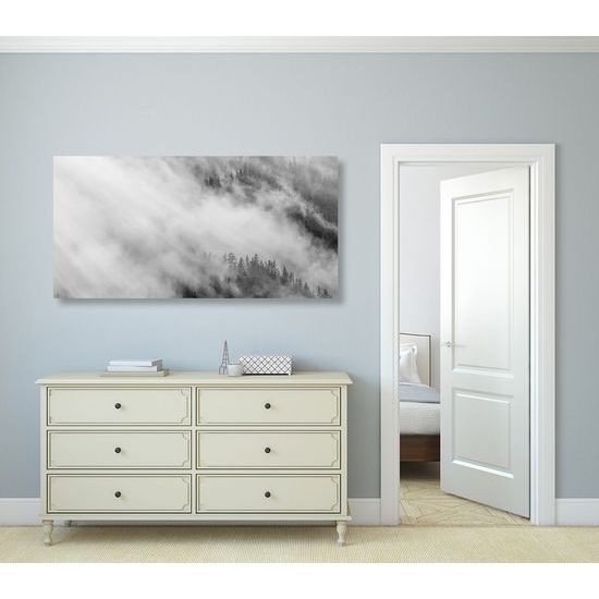 Kép köd az erdő felett fekete-fehér kivitelben