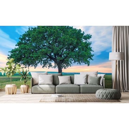 Eredeti masszív tölgy fotótapéta