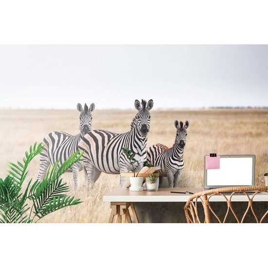 Öntapadó tapéta zebra család