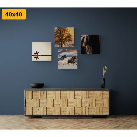 Képszett vágtató lovak