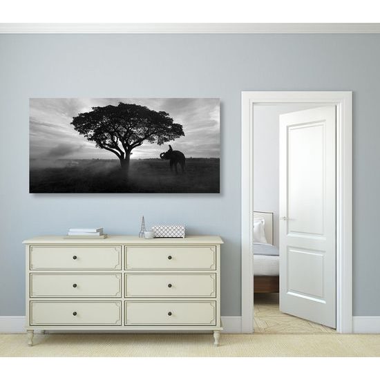 Kép csodálatos elefánt fekete-fehér kivitelben