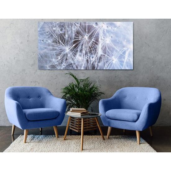 Kép pitypang részletei