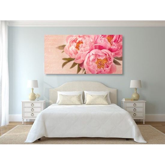 Kép lágy pünkösdi rózsa