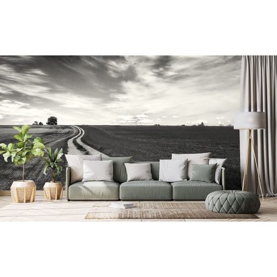 Öntapadó fotótapéta fekete-fehér varázslatos táj