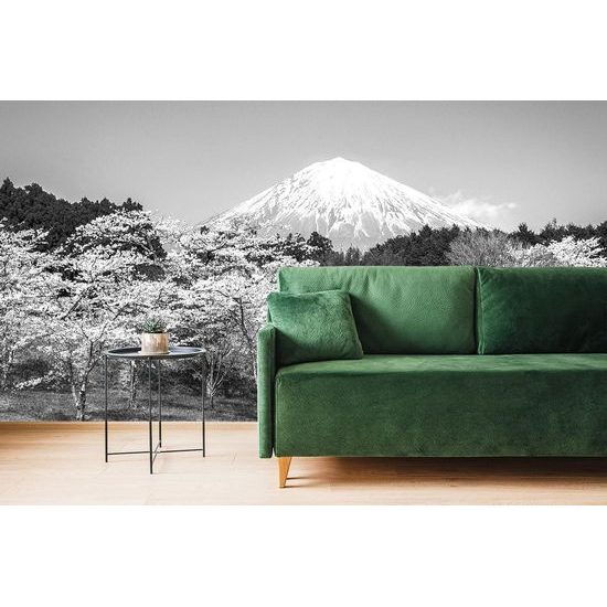Fekete-fehér fotótapéta Fuji a japán természet ölelésében