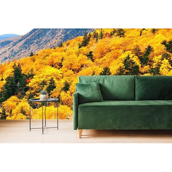 Gyönyörű természet öntapadó fotótapéta őszi színekben