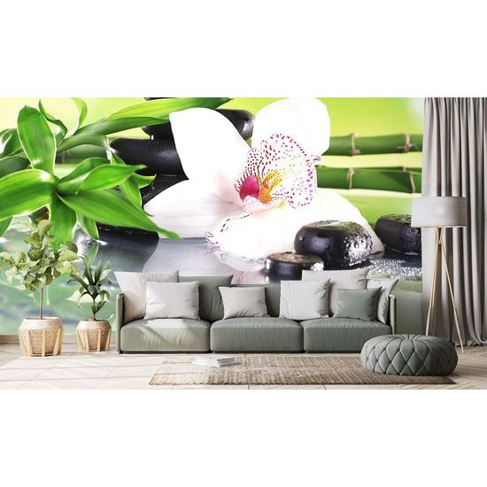 Öntapadó fotótapéta harmonikus csendélet orchideával