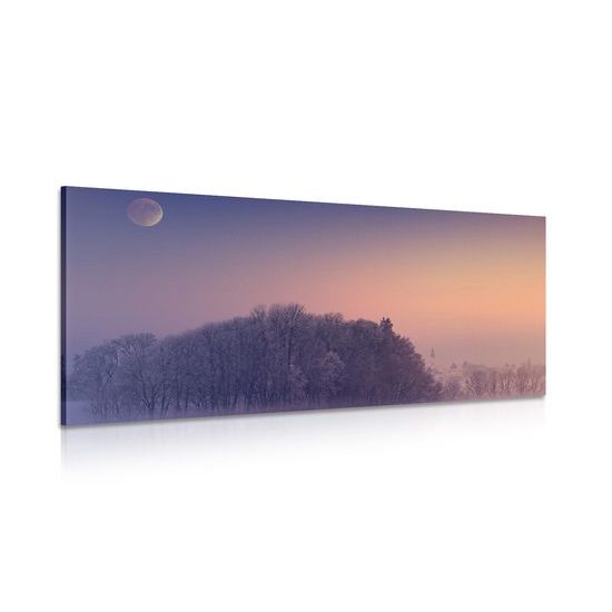 Kép telihold téli időszakban