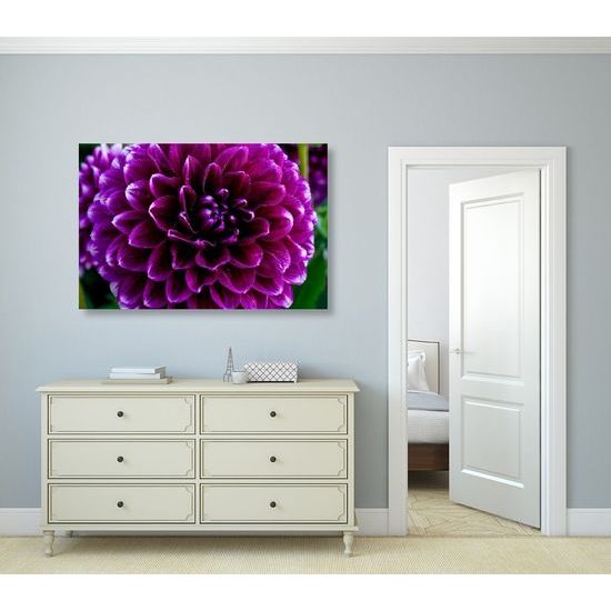 Kép óriási virág lila színekben