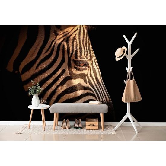 Öntapadó fotótapéta zebra fej