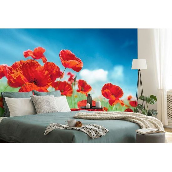 Fotótapéta pipacsok a réten