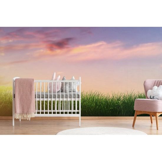 Öntapadó tapéta naplemente a réten