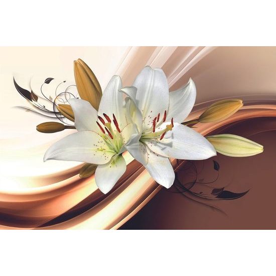 Fotótapéta gyönyörű fehér liliom fehér alapon