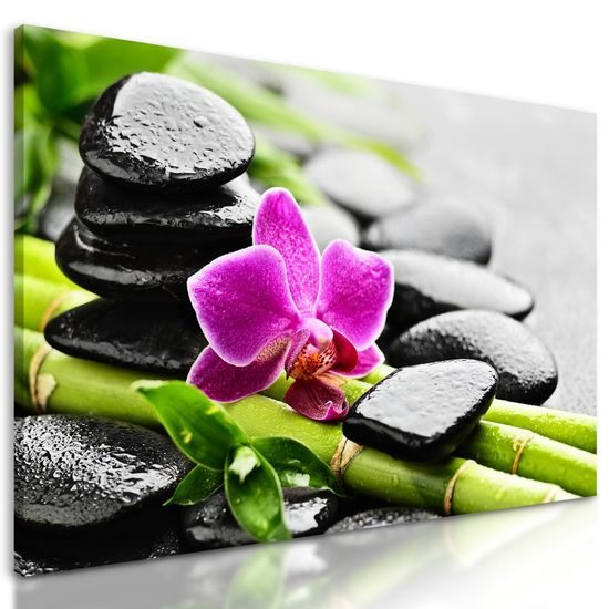 Kép wellness csendélet eső után gyönyörű orchideával