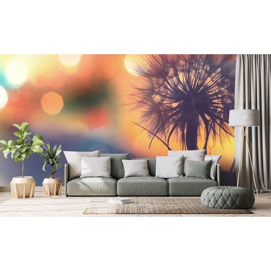 Pitypang tapéta izzó háttérrel