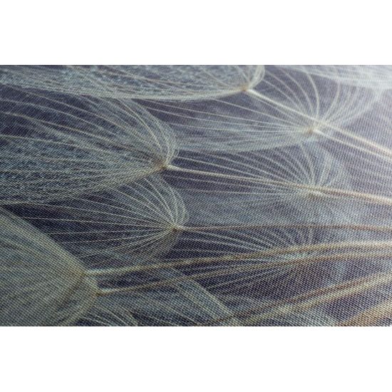 Kép pitypang részletei