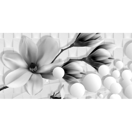 Kép virág fekete-fehér absztrakciója