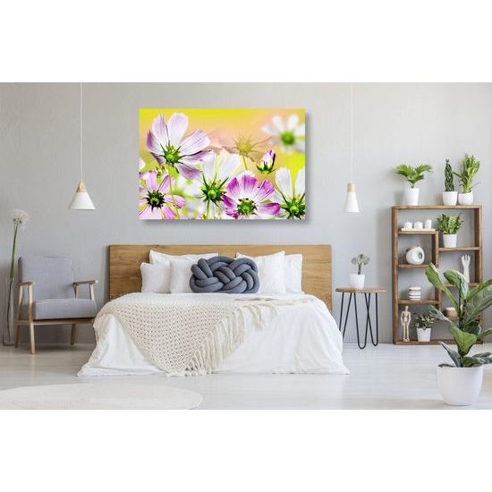 Kép gyönyörű kivirágzott virágok