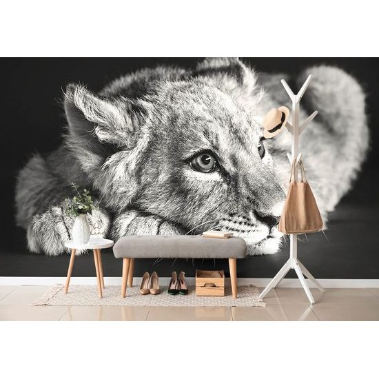 Fekete-fehér aranyos oroszlán öntapadó fotótapéta