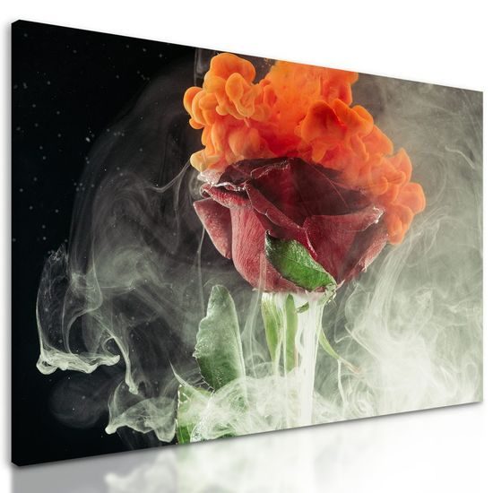 Kép rózsa művészi ábrázolása