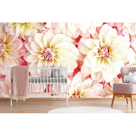 Öntapadó fotótapéta bájos dália pasztell árnyalatokban