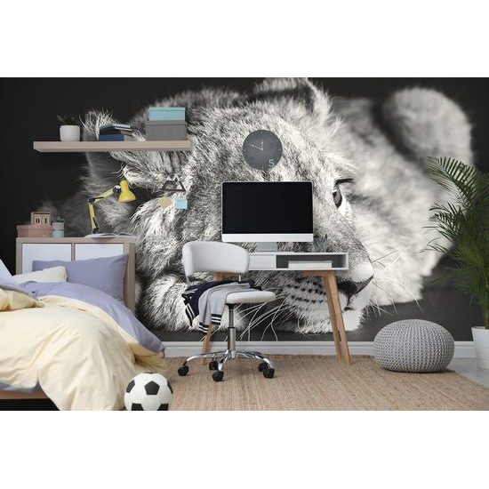 Fekete-fehér aranyos oroszlán öntapadó fotótapéta