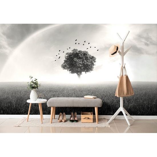 Tapéta varázslatos fa a szivárvány alatt fekete-fehérben