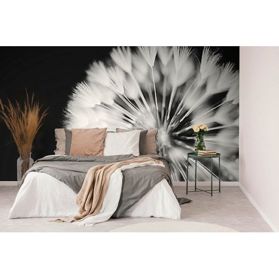 Öntapadó tapéta fekete fehér pitypang kalap