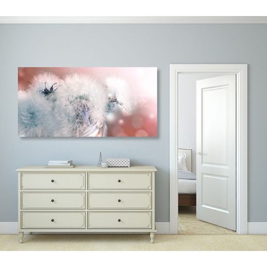 Kép pitypang absztrakt háttérrel