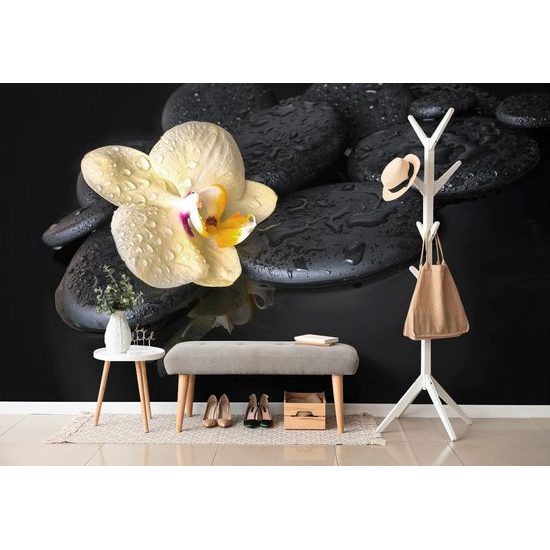 Öntapadó fotótapéta sárga orchidea és sötét kövek