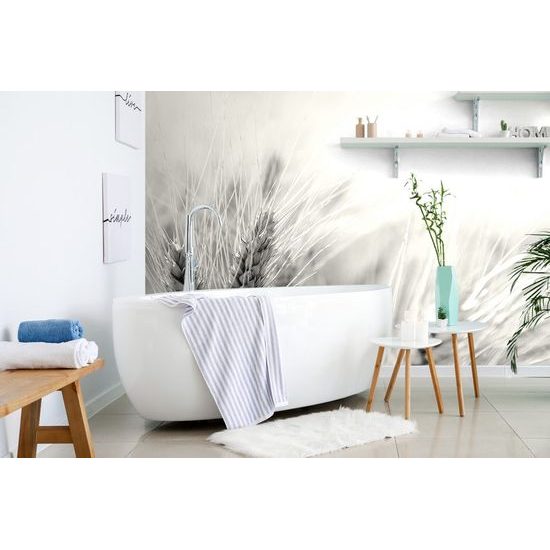 Fotótapéta búza része fekete-fehérben