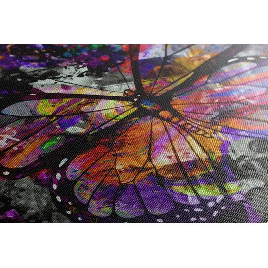 Kép sokszínű pillangó